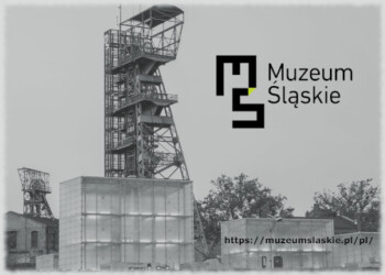 Muzeum Śląskie