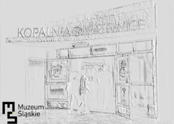 Muzeum Śląskie